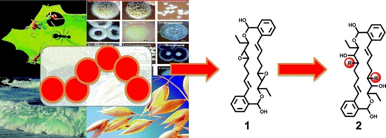 Organik Ürün Analizleri