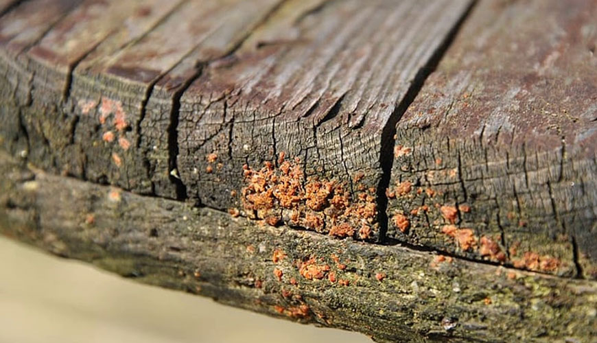 Paslanmazlık ve Çürüme Testleri