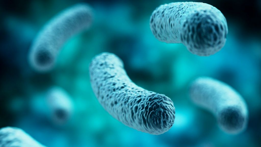 Determinación de la actividad antimicrobiana en productos de plástico, metal y cerámica (JIS Z 2801)