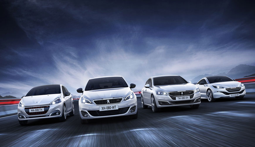 PSA D10 5517 Uçucu Organik Bileşiklerin (VOC) Tayini