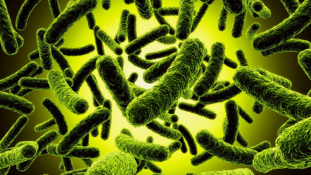 Spunbond Fabric Tests - Bacteria Penetration Test