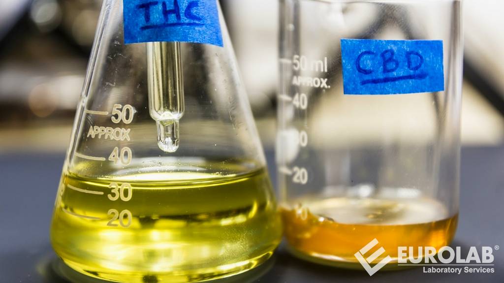 THC İçermez Test ve Sertifikasyonu