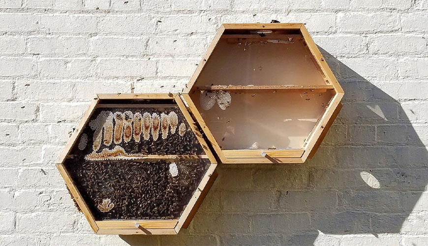 UL 1686 Emniyet Pimi ve Kovan Konfigürasyonları için Test