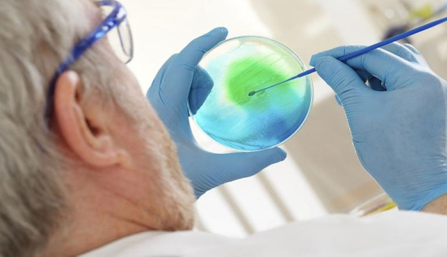 USP 151 Pirojen Testi için Standart Yöntem