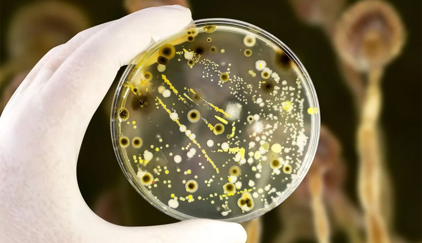 USP 61 Test štetja mikrobov