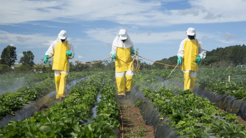 การวิเคราะห์สารกำจัดศัตรูพืชขั้วโลกสูง